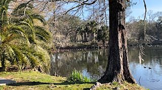 Favorite spot in Audubon Park meditation bench