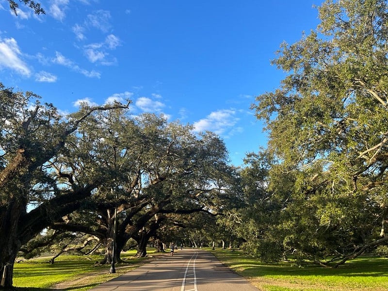 Walking and bike path at 1 block away Audubon Park