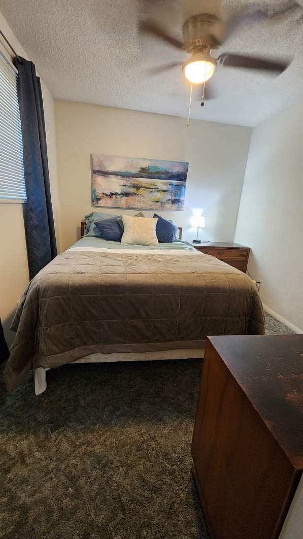 Furnished Finder property 384048_1 photo 16