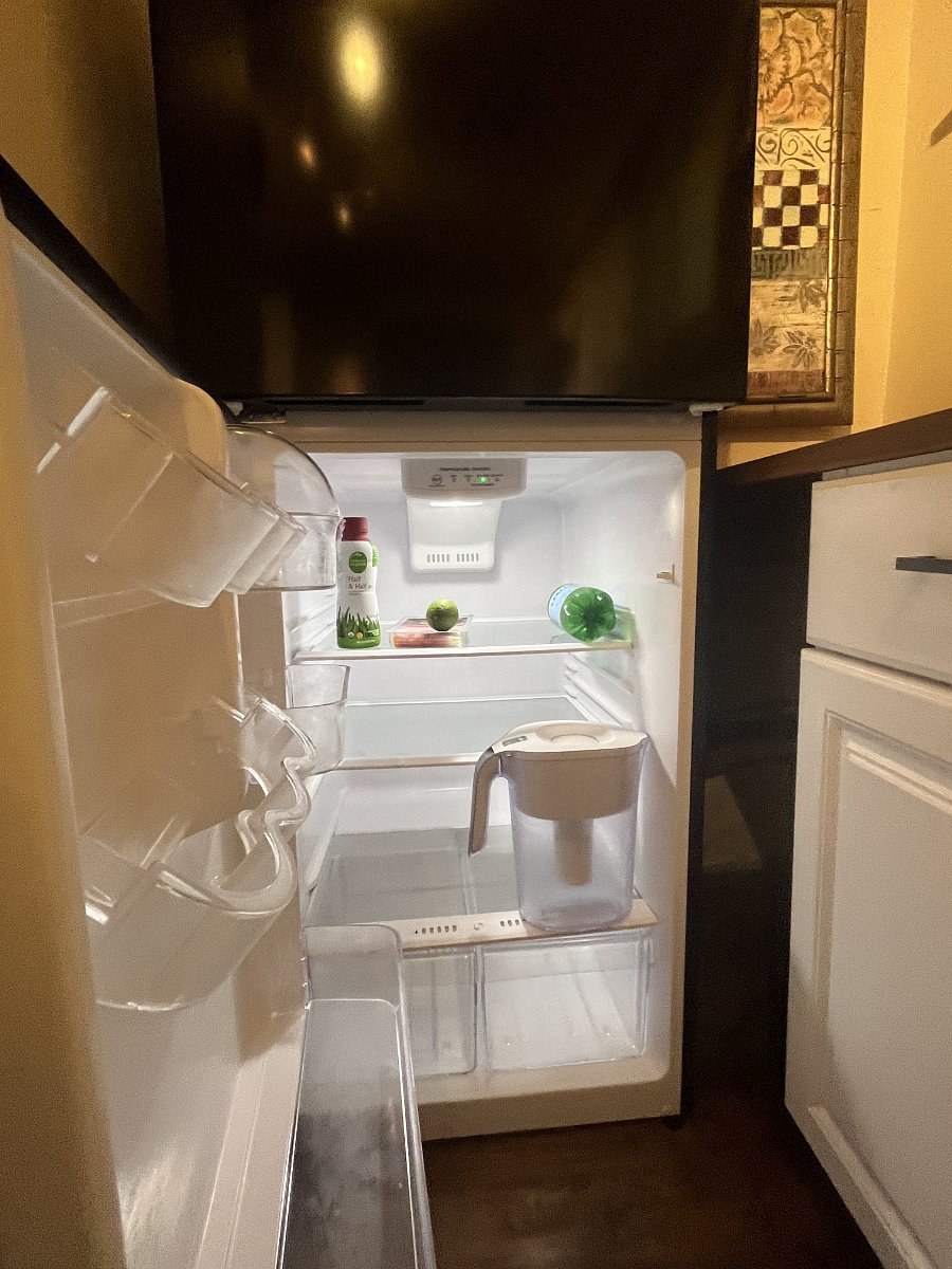 large capacity apartment-sized refrigerator and freezer