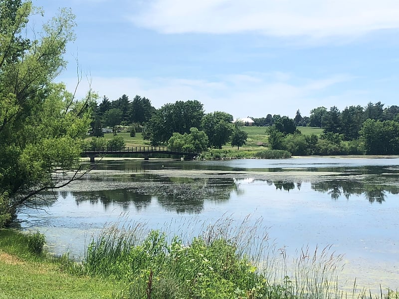 Holmes Lake Park 1 mile from home