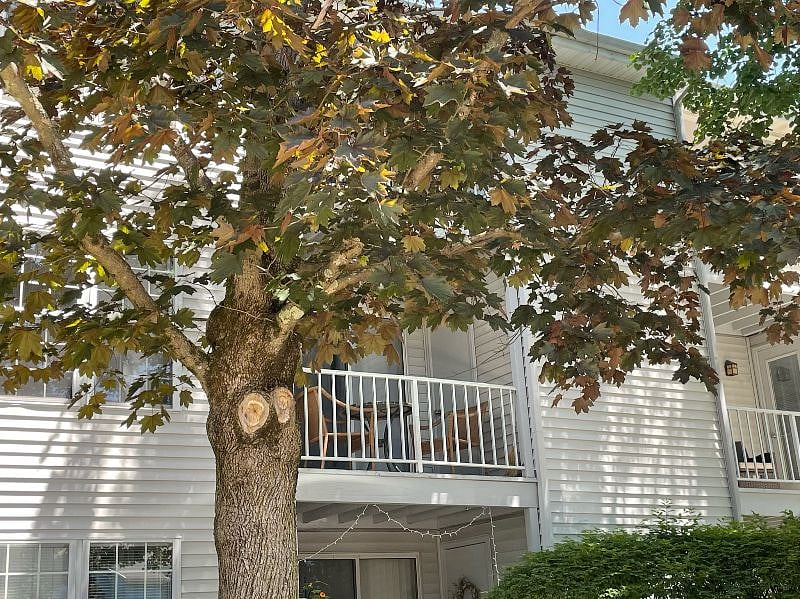 Furnished Finder property 386128_1 photo 27