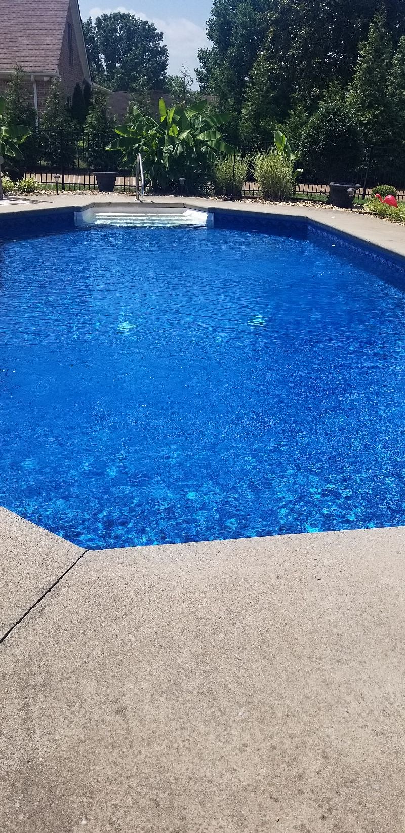 Furnished Finder property 386137_2 photo 5