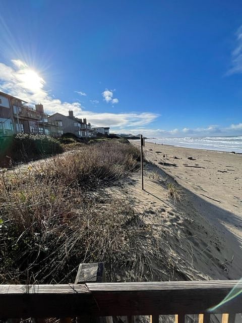 Furnished Finder property 386263_1 photo 12