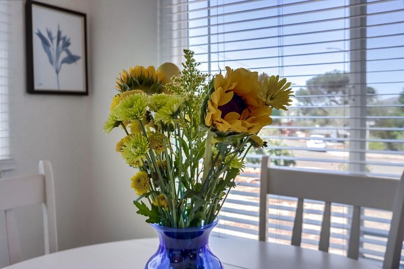 Furnished Finder property 386271_2 photo 15