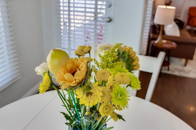 Furnished Finder property 386271_2 photo 14
