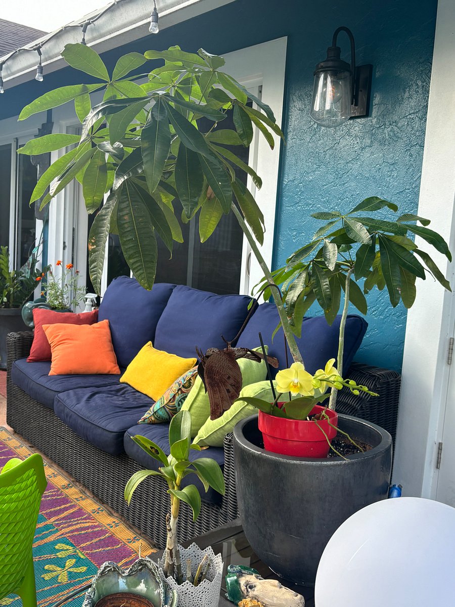 Furnished Finder property 386403_1 photo 18