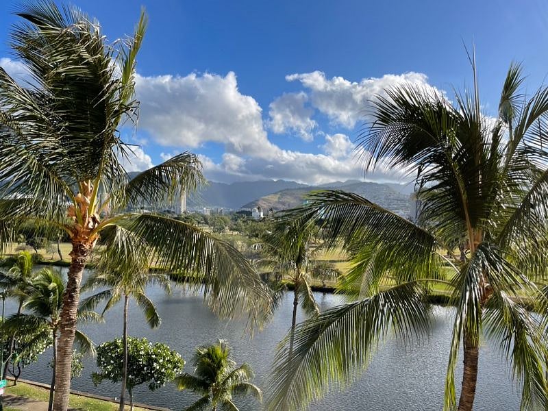 Furnished Finder property 386485_1 photo 6