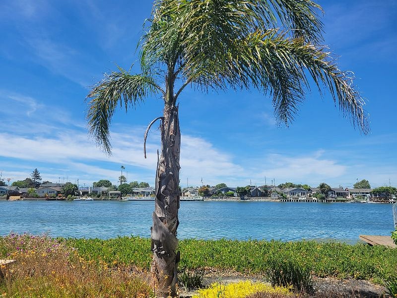 Near water, parks, trails, and boat rentals