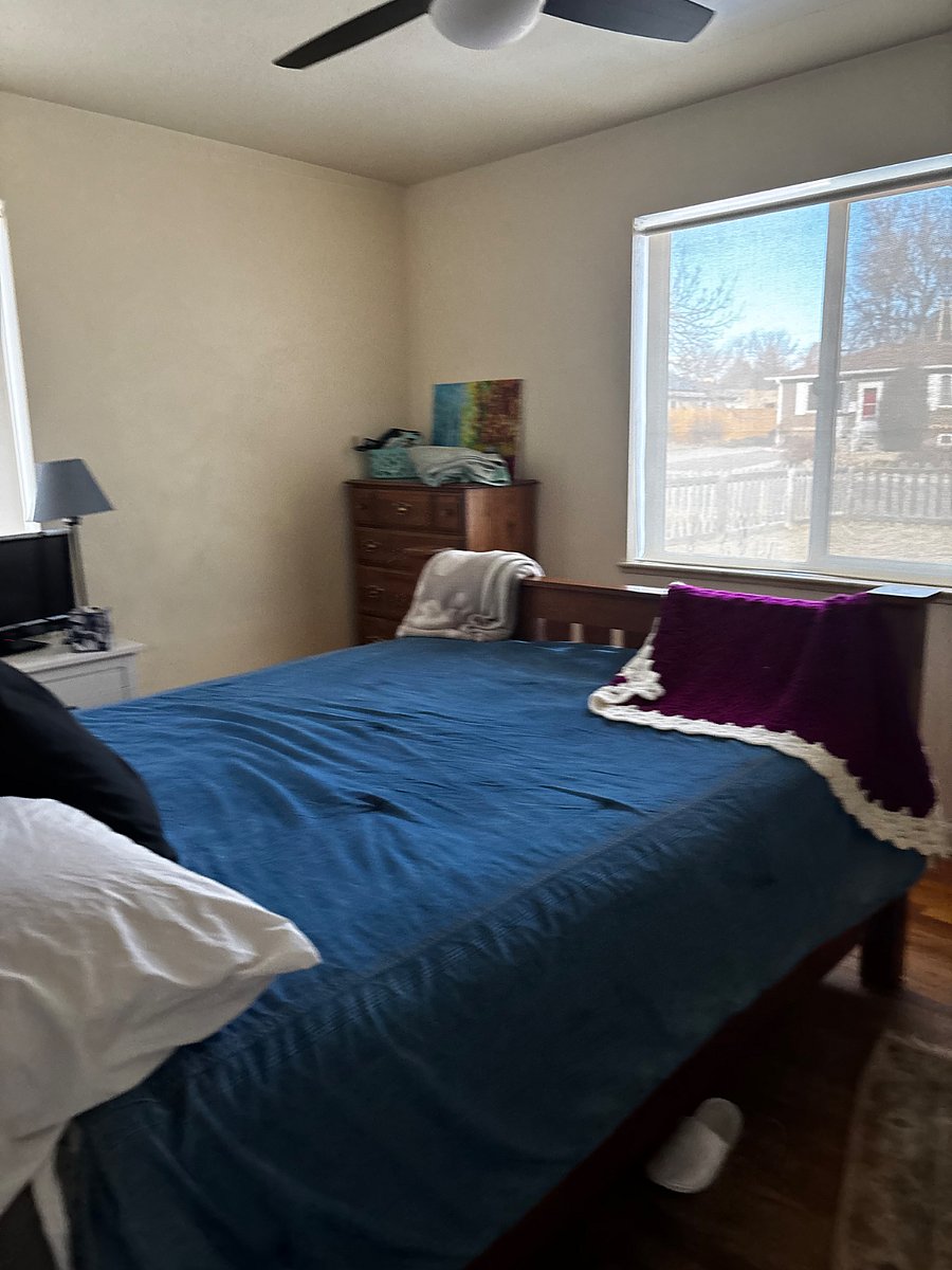 Furnished Finder property 386710_1 photo 5