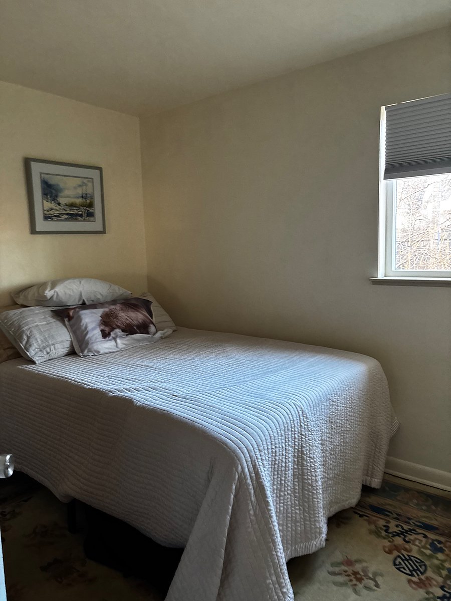Furnished Finder property 386710_1 photo 9