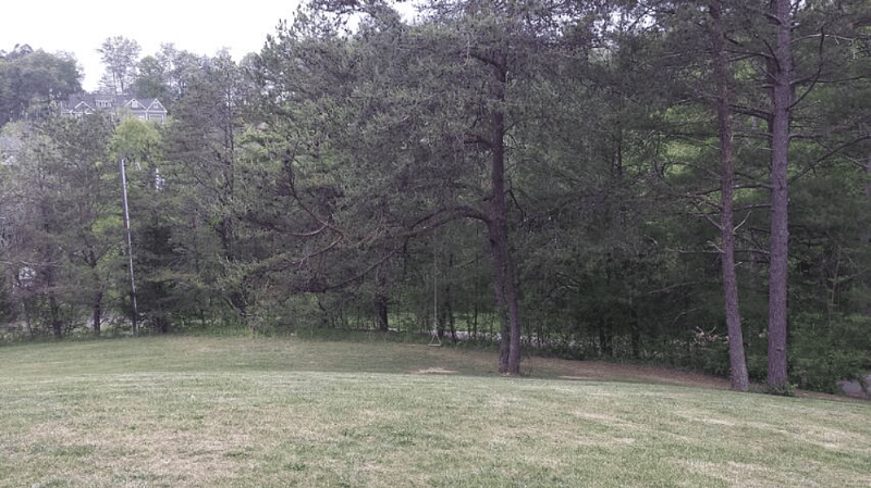 A section of our yard seen from your entrance.