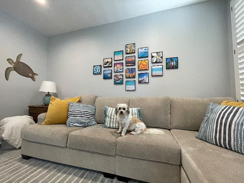 Furnished Finder property 386896_1 photo 7