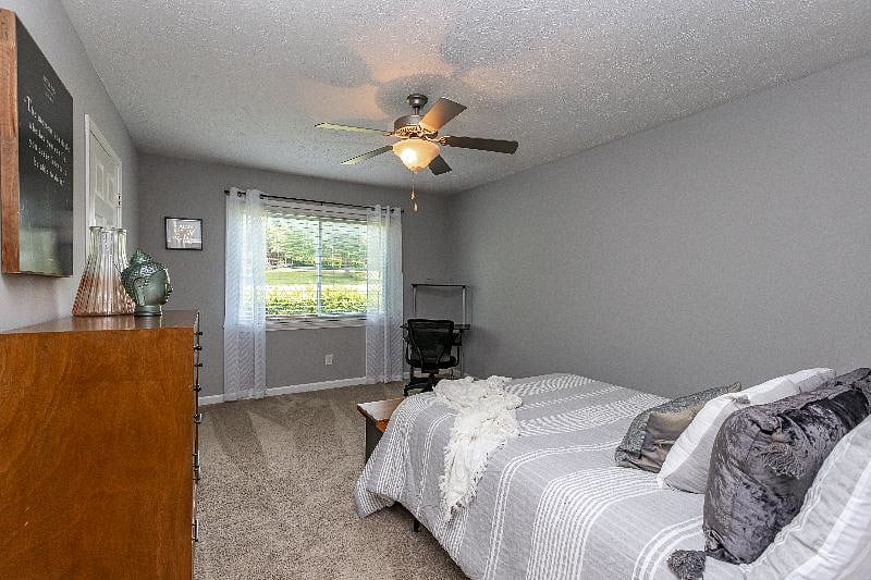 Furnished Finder property 386978_1 photo 15
