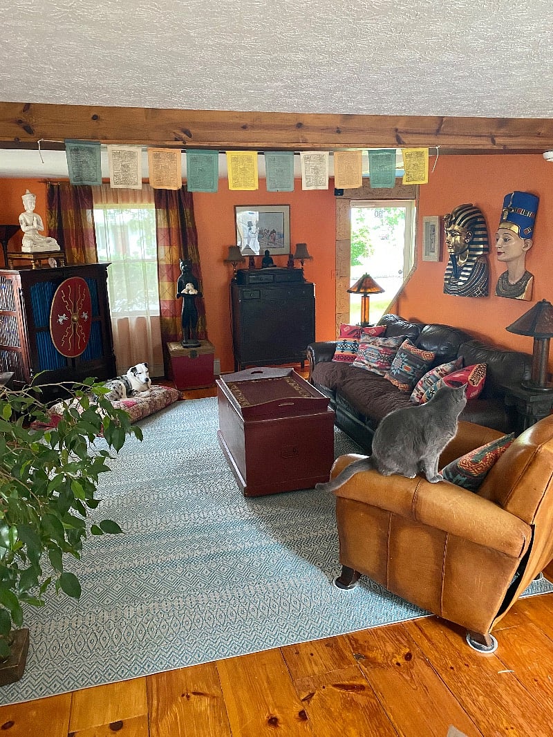 Furnished Finder property 387019_1 photo 13