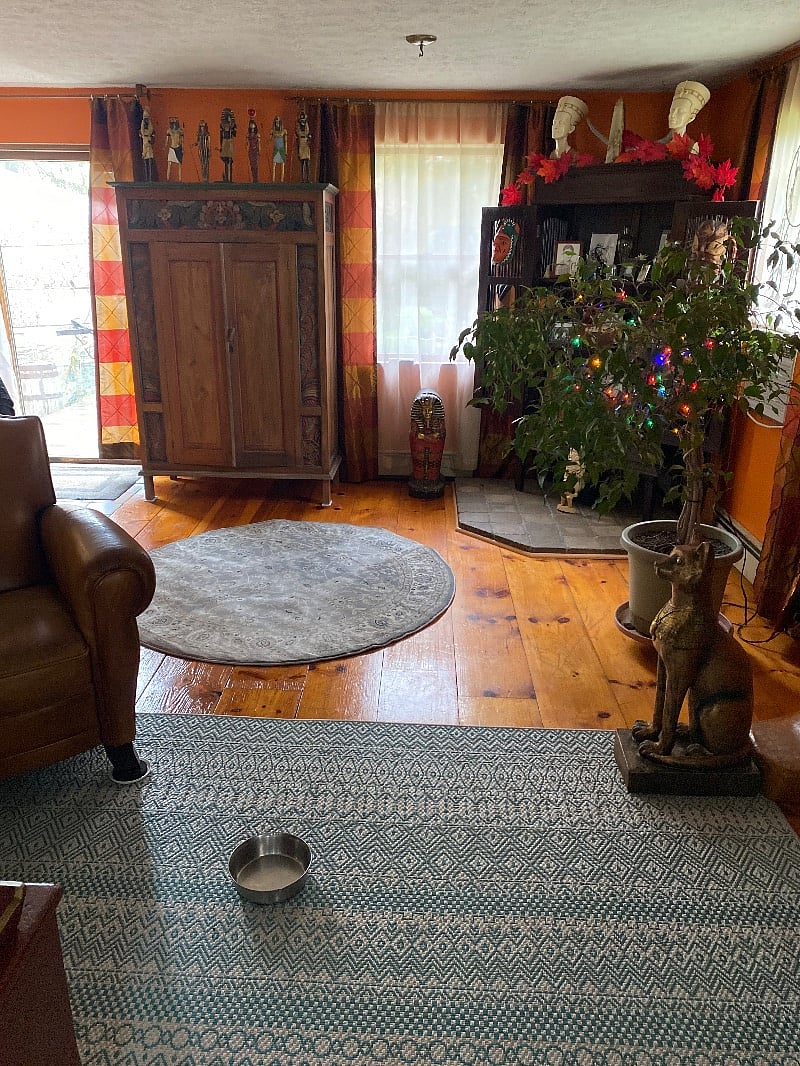 Furnished Finder property 387019_1 photo 14