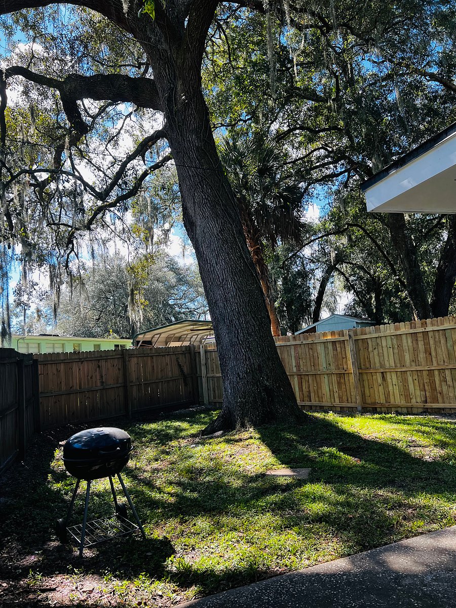 Furnished Finder property 387036_1 photo 19