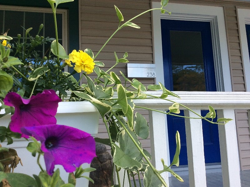 Front entry