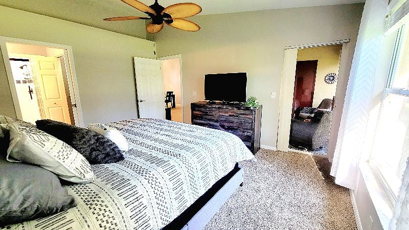 Furnished Finder property 387185_1 photo 31