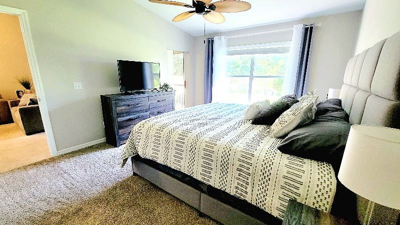 Furnished Finder property 387185_1 photo 33