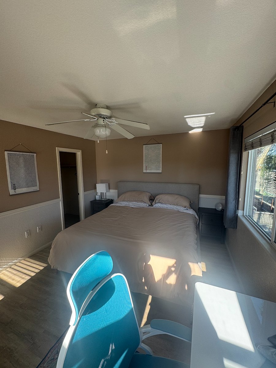 Furnished Finder property 387255_2 photo 6