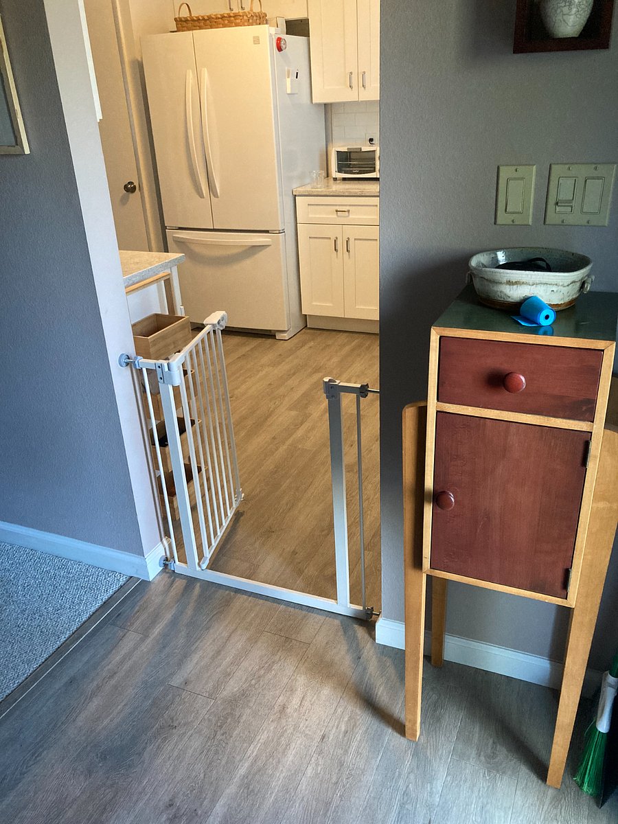 Dog gate keeps dog confined to upper level.