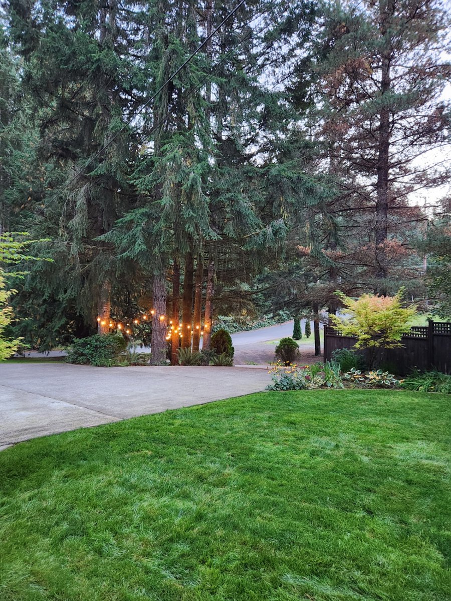 Furnished Finder property 387403_1 photo 22
