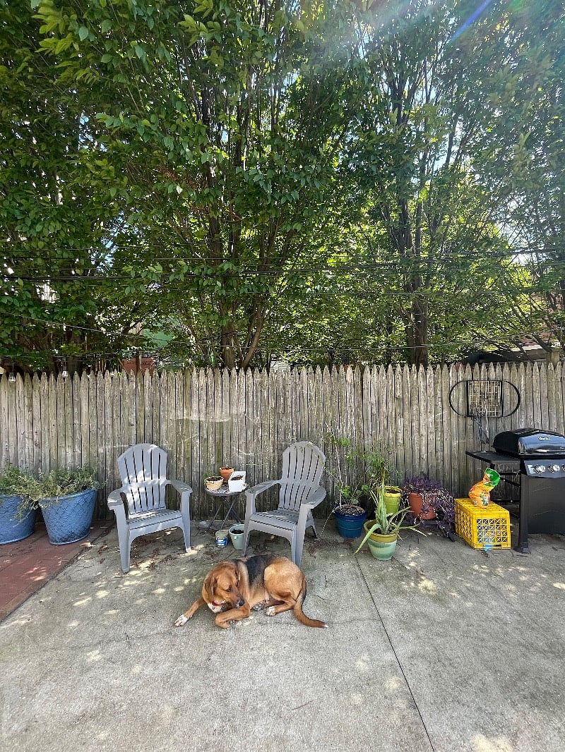 Furnished Finder property 387568_1 photo 23