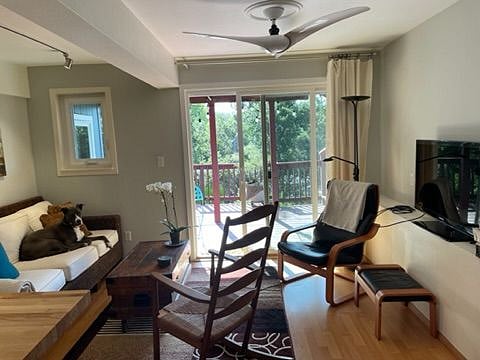 Furnished Finder property 387699_1 photo 9