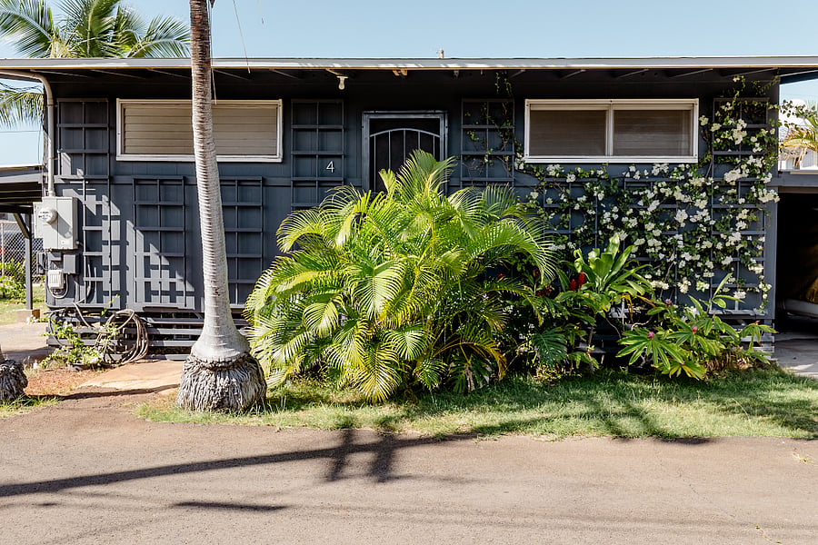Checking into your lush, island bungalow
