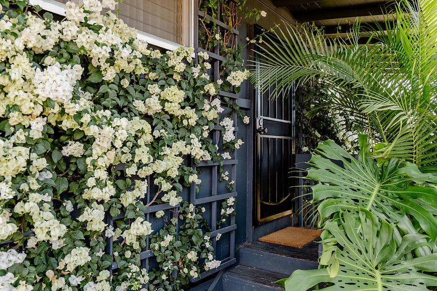 Checking into your lush, island bungalow.