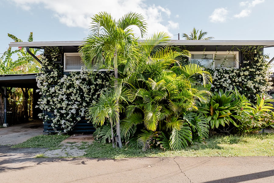 Checking into your lush, island bungalow.