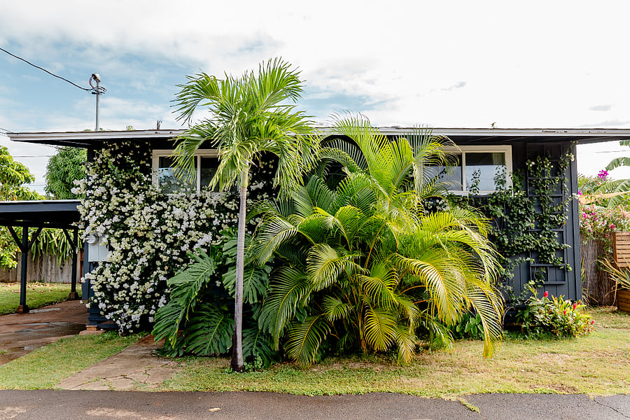 Checking into your lush, island bungalow