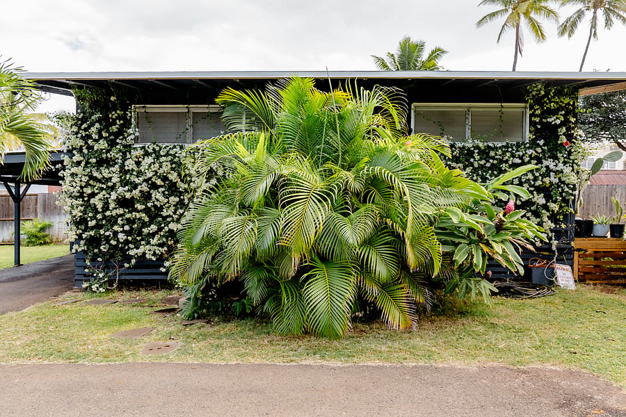 Checking into your lush, island bungalow