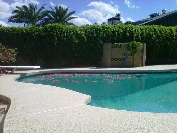 Furnished Finder property 387761_1 photo 6