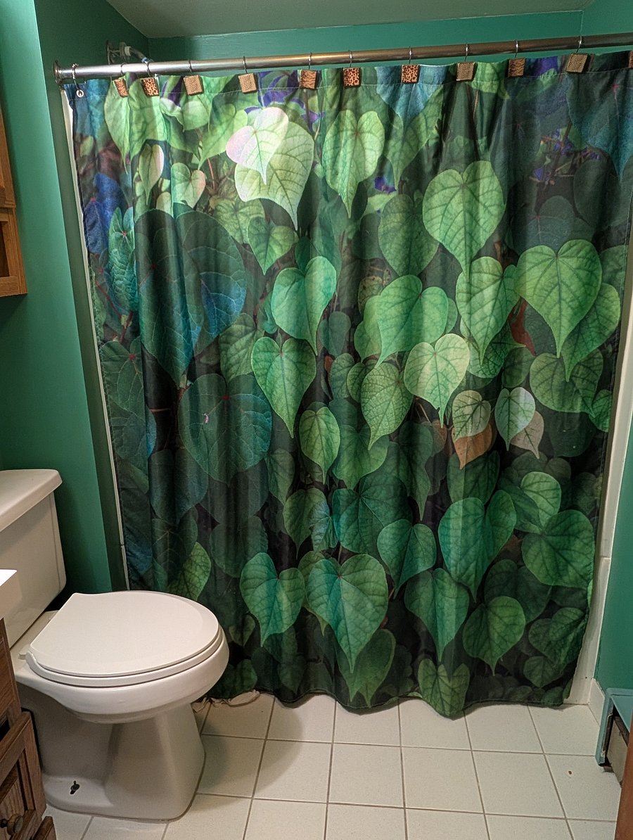 Furnished Finder property 387841_3 photo 20
