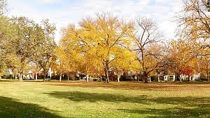 Curtis park, namesake to the neighborhood. Tennis and basketball courts, baseball field, one mile loop, and open fields. 5 minute walk from house