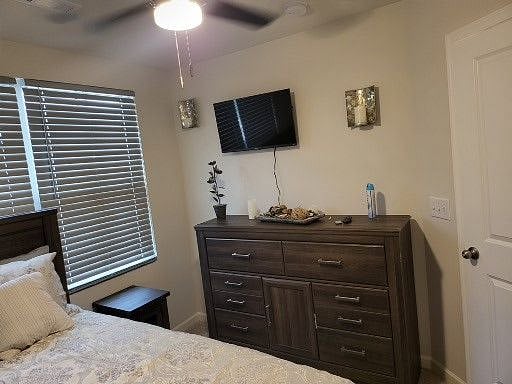 Furnished Finder property 388157_1 photo 23
