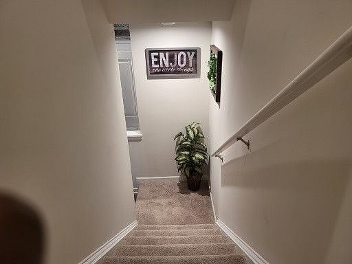 Furnished Finder property 388157_1 photo 28