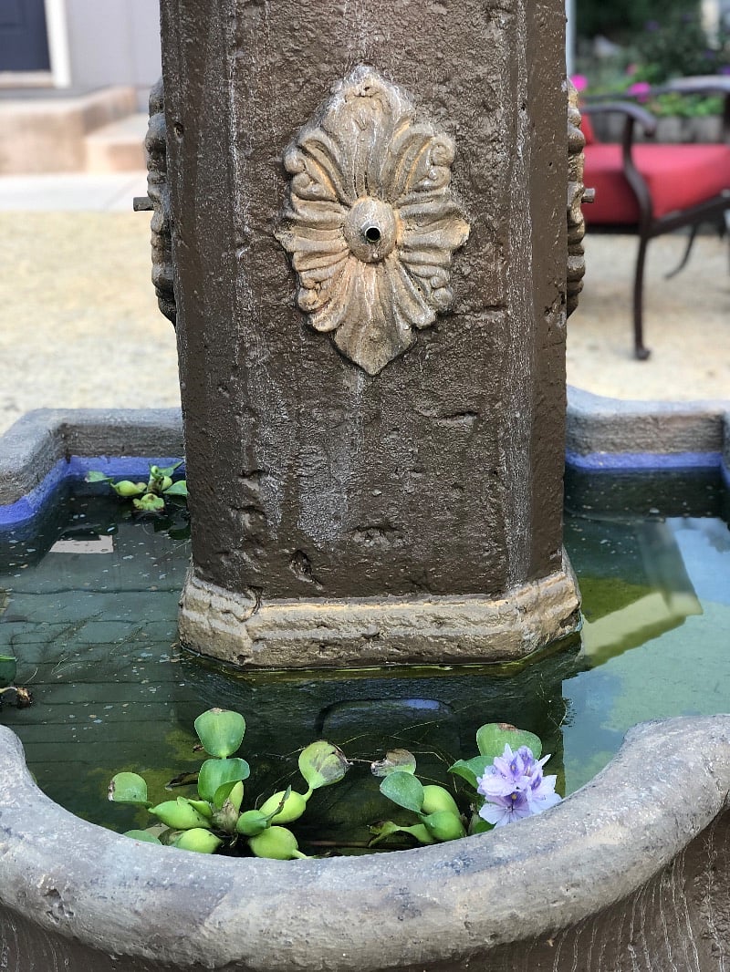 Fountain outside kitchen.
