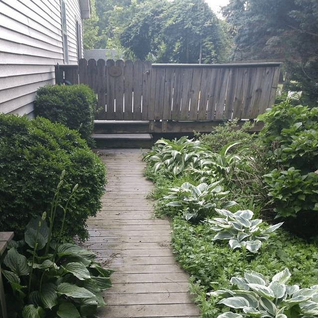 Walk to entrance