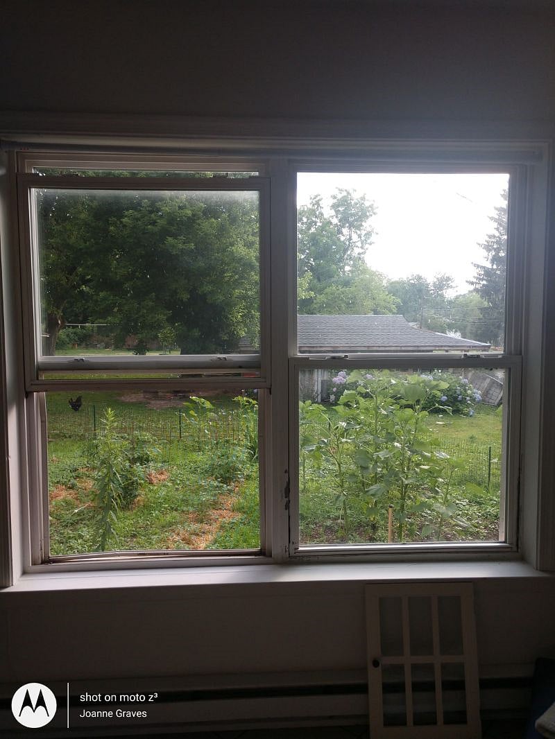 view from living room windows