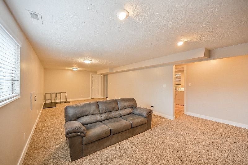 basement den