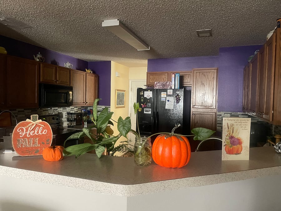 Furnished Finder property 388732_1 photo 7