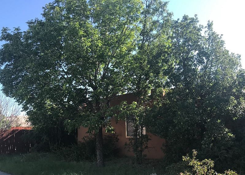 Furnished Finder property 388818_1 photo 13
