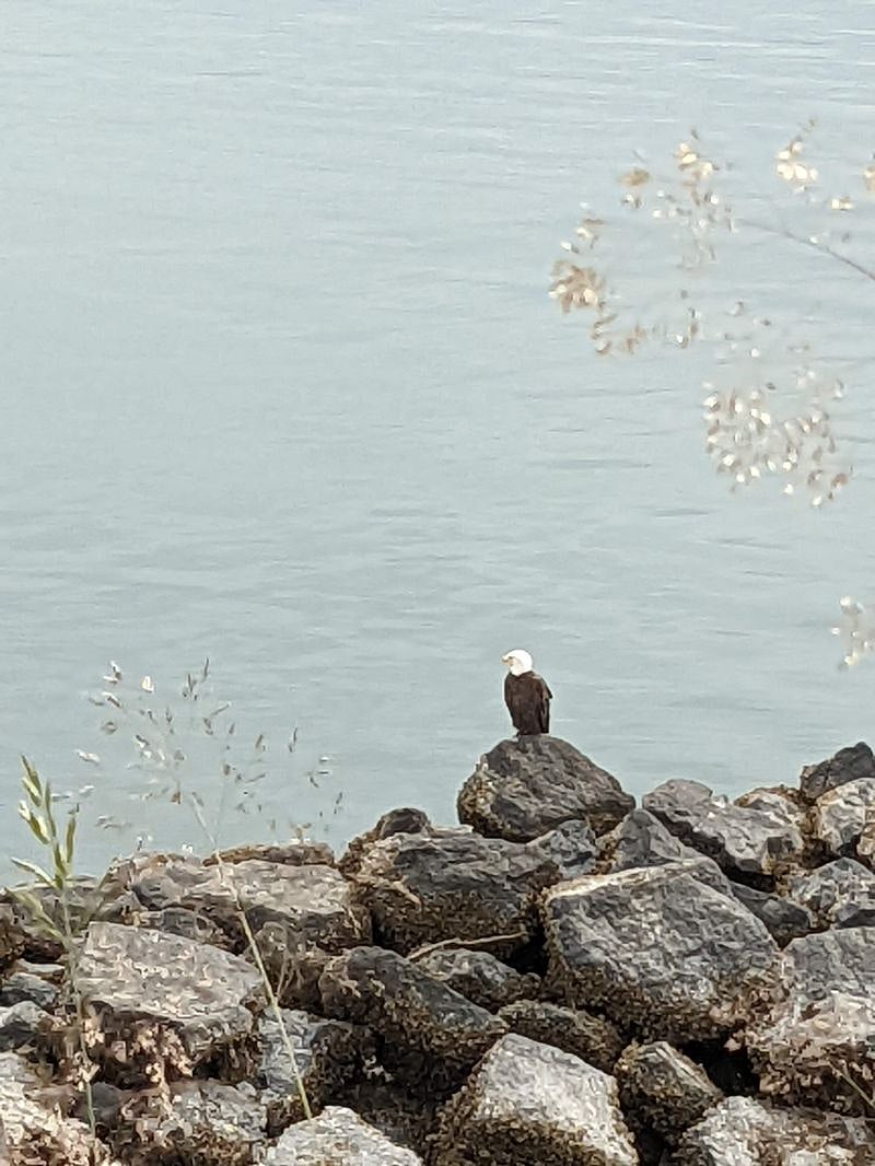 Photo taken just down the hill along the water.