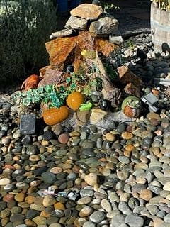 Greeted with an amazing front yard and a water feature of a running river and a HUGE redwood tree.