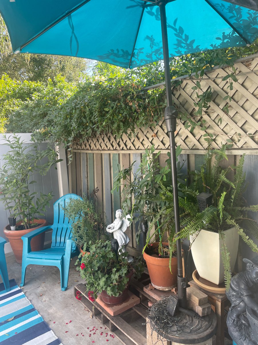 Furnished Finder property 389372_2 photo 13
