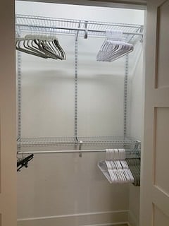 Large closet for clothing with hangers & light