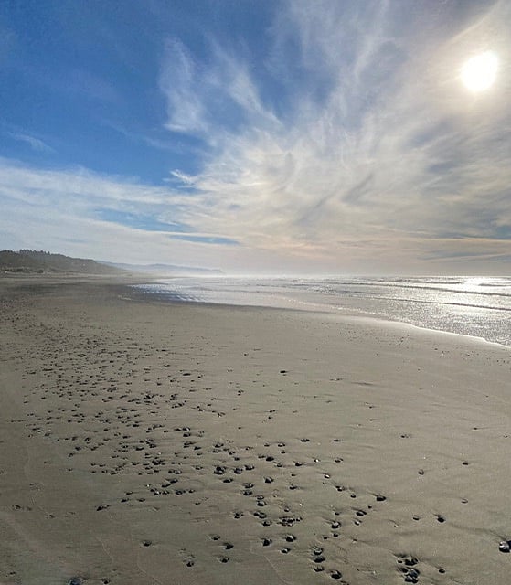 Beautiful beach access 66C